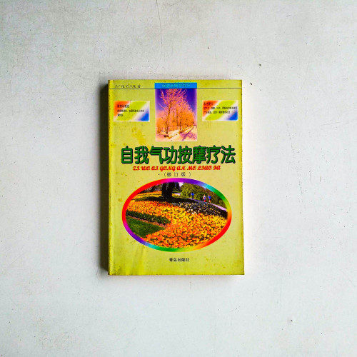 自我氣功按摩療法 自我氣功按摩療法