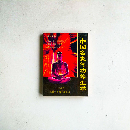中國名家氣功養生術
