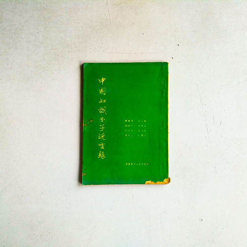 中國知識分子近言錄
