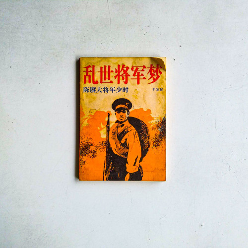 亂世將軍夢:陳賡大將年少時 亂世將軍夢:陳賡大將年少時