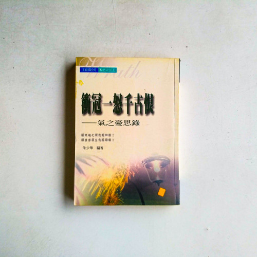 衝冠一怒千古恨:氣之憂思錄 衝冠一怒千古恨:氣之憂思錄