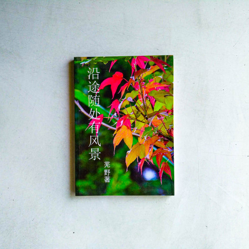 沿途隨處有風景