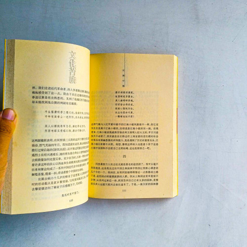文化苦旅