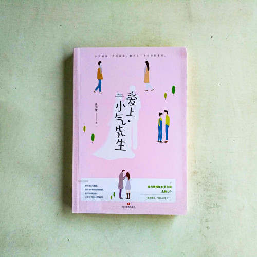 愛上小氣先生 愛上小氣先生