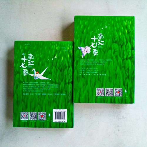 南江十七夏天（全二册）