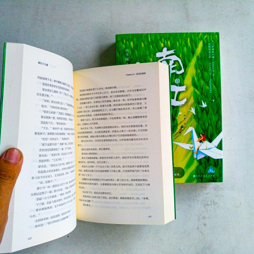 南江十七夏天（全二册）