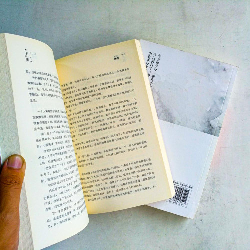 大漠謠【新版】(全2冊) 大漠謠【新版】(全2冊)