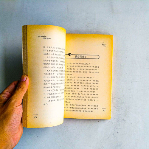 少年維特的煩惱