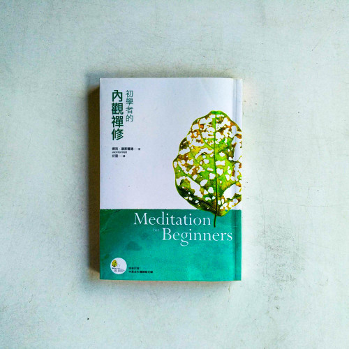 初學者的內觀禪修(有水痕) 初學者的內觀禪修(有水痕)