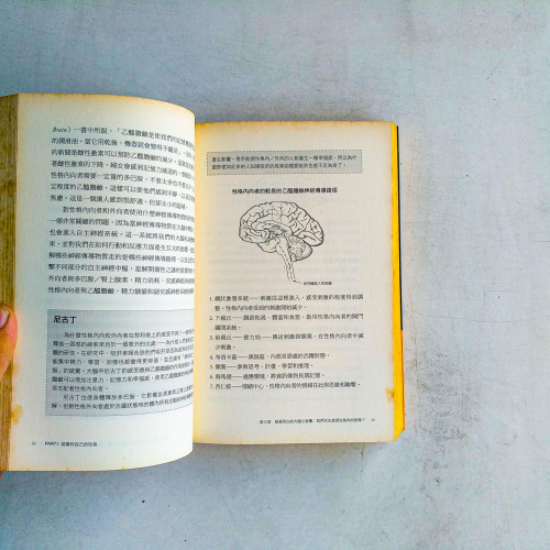 內向者求生術:內向者如何在外向的世界嶄露鋒芒 內向者求生術:內向者如何在外向的世界嶄露鋒芒