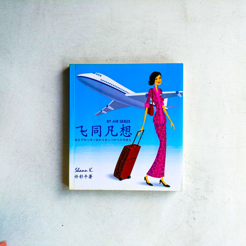飛同凡想
