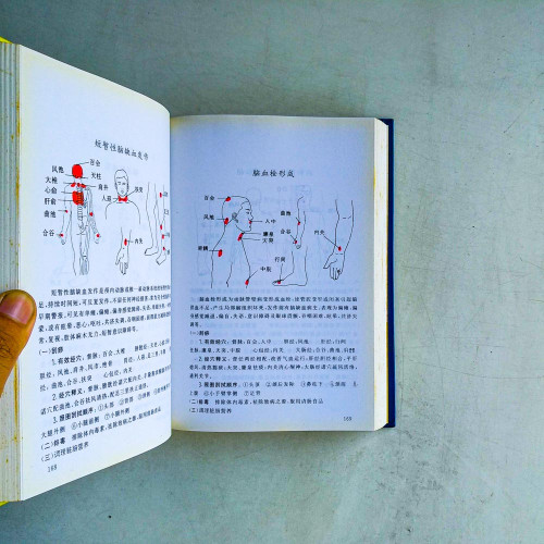 呂教授健康法：400種病臨床醫典