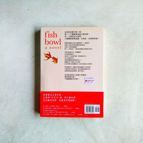 金魚缸 金魚缸