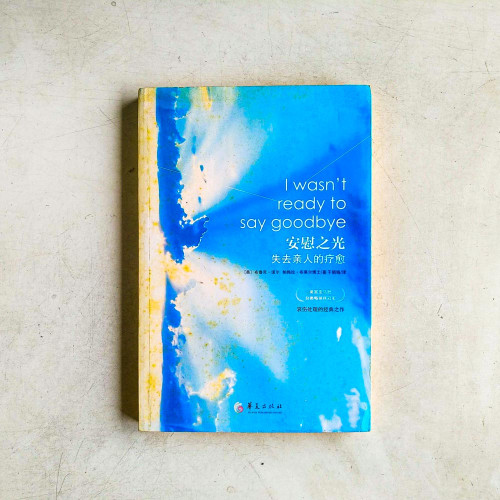 安慰之光:失去親人的療癒 安慰之光:失去親人的療癒