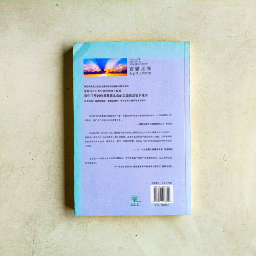 安慰之光:失去親人的療癒 安慰之光:失去親人的療癒