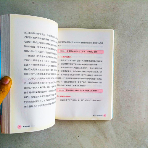 教養的秘密:無效管教Out,科學育兒 In,兒童發展專家王宏哲的新世代教養術(有水痕) 教養的秘密:無效管教Out,科學育兒 In,兒童發展專家王宏哲的新世代教養術(有水痕)