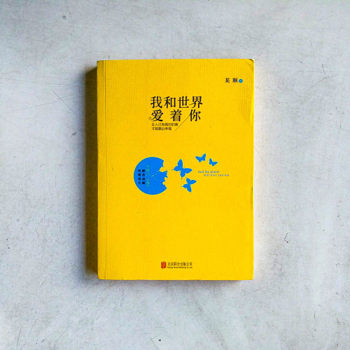 我和世界愛着你 我和世界愛着你