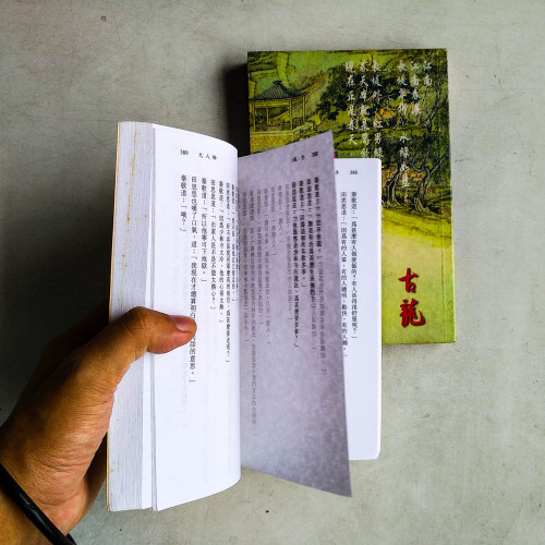 大人物(上下冊) 大人物(上下冊)
