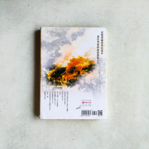 浴火少年 浴火少年
