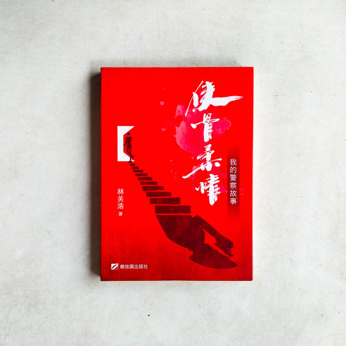 俠骨柔情：我的警察故事