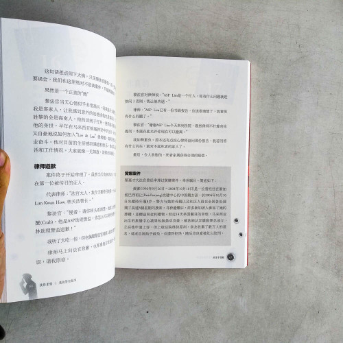 俠骨柔情：我的警察故事
