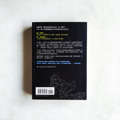 蜘蛛網中的女孩 蜘蛛網中的女孩