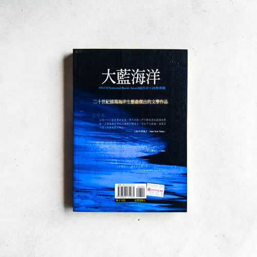 大藍海洋 大藍海洋