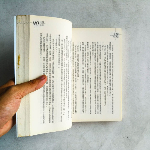 大騙局 大騙局