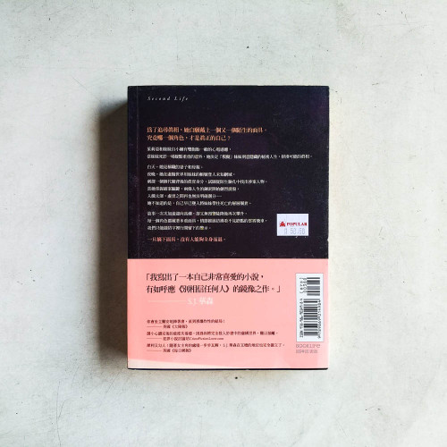雙面陷阱 雙面陷阱