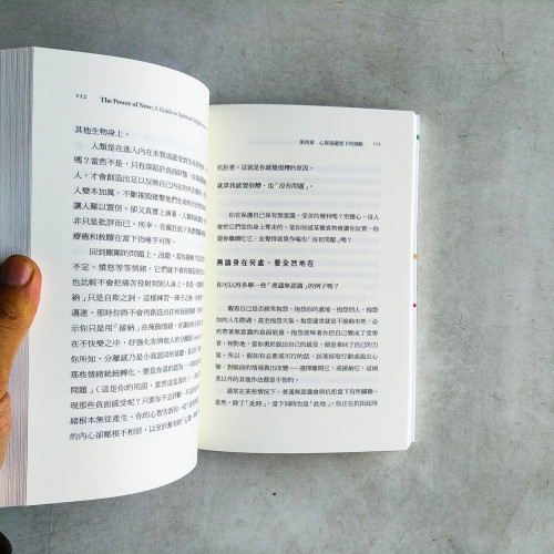 當下的力量:通往靈性開悟的指引【全新紀念版】 當下的力量:通往靈性開悟的指引【全新紀念版】