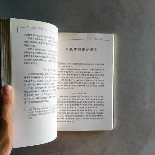 馬哈迪時代風潮 馬哈迪時代風潮