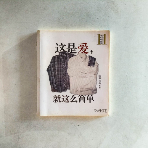 我們的故事II:這是愛,就這麼簡單 我們的故事II:這是愛,就這麼簡單