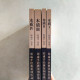 本質:郎咸平經典案例作品修訂版(1~4冊) 本質:郎咸平經典案例作品修訂版(1~4冊)
