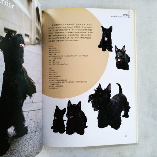 Dog Family 犬完全圖鑑 Dog Family 犬完全圖鑑