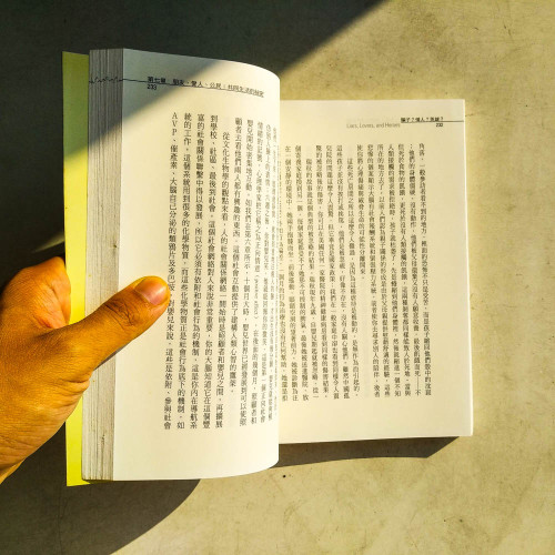 騙子?情人?英雄?:看大腦科學如何揭露,你是怎樣變成這個你 騙子?情人?英雄?:看大腦科學如何揭露,你是怎樣變成這個你