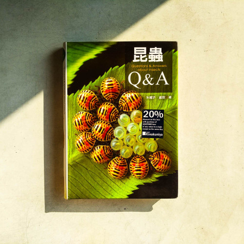 昆蟲Q&A 昆蟲Q&A