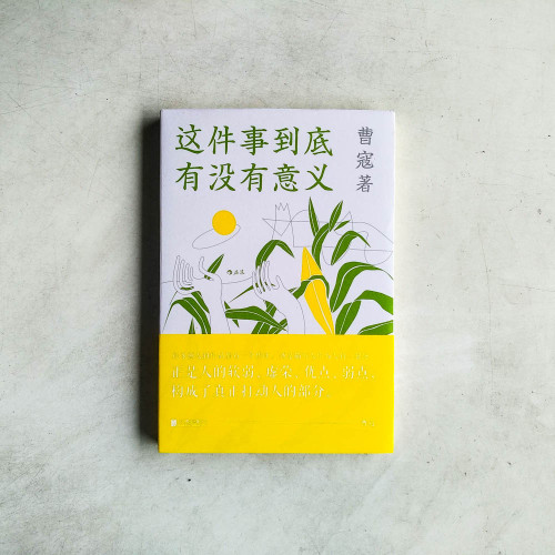 這件事到底有沒有意義 這件事到底有沒有意義
