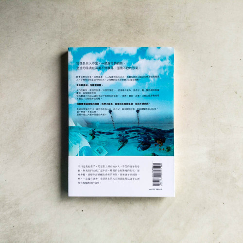 雲端的丈夫 雲端的丈夫