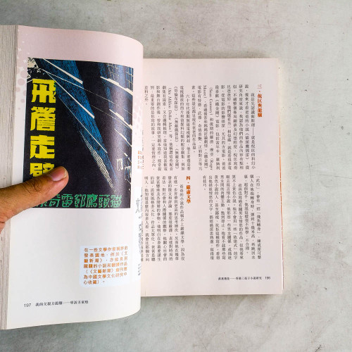 落葉飛花：香港三毫子小說研究