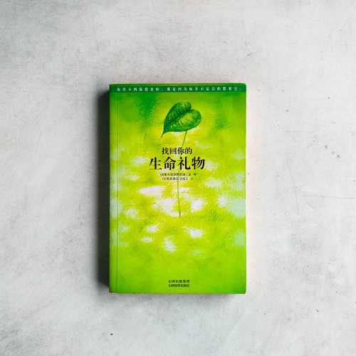 找回你的生命禮物