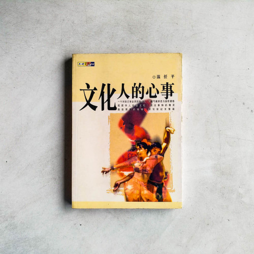 文化人的心事 文化人的心事