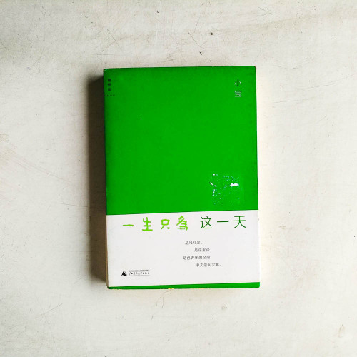 一生只爲這一天 一生只爲這一天