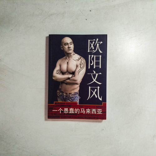一個愚蠢的馬來西亞 一個愚蠢的馬來西亞
