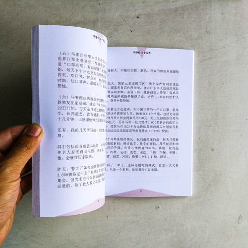 馬中疫記十六天