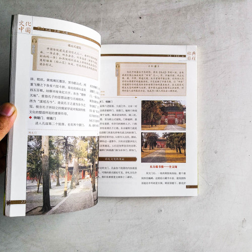 遊訪孔廟、孔府、孔林:東方的文化聖地 遊訪孔廟、孔府、孔林:東方的文化聖地