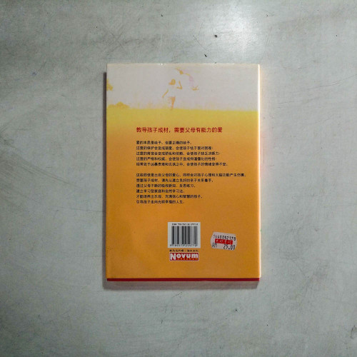 教導孩子成材:打造學習型家庭,做孩子的領航人 教導孩子成材:打造學習型家庭,做孩子的領航人