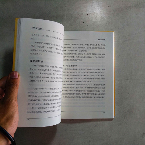 教導孩子成材:打造學習型家庭,做孩子的領航人 教導孩子成材:打造學習型家庭,做孩子的領航人