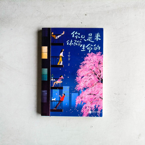 你只是來體驗生命的 你只是來體驗生命的
