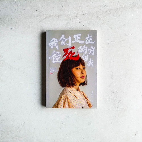 我們正在往死的方向去 我們正在往死的方向去