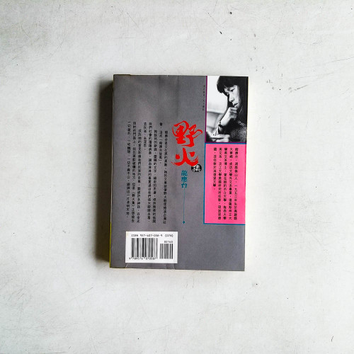 野火集